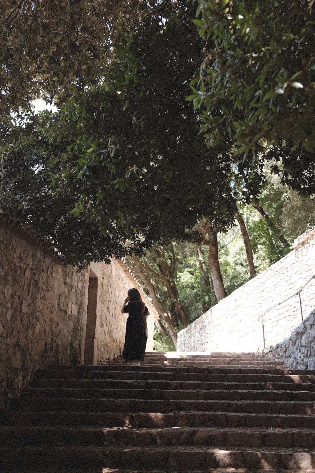 A person walking under trees on stone steps